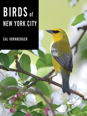 cover image of Birds of New York City